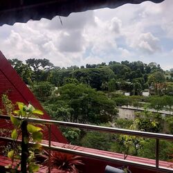 Cairnhill Astoria (D9), Apartment #566025311